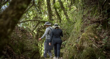 Actividades en Aguas Calientes